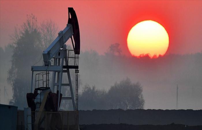 Düşük petrol fiyatları Orta Doğuya etkisi